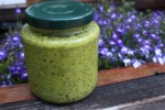 nasturtium_pesto_take_two