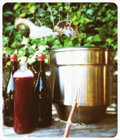 making grape juice with steam juicer