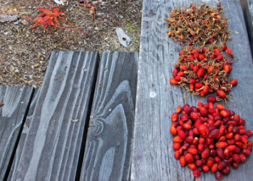 Low Bush Cranberry Rosehip Conserve