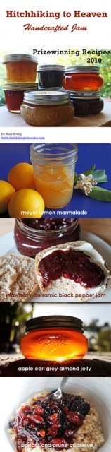 Hitchhiking to Heaven Prizewinning Recipes eBook