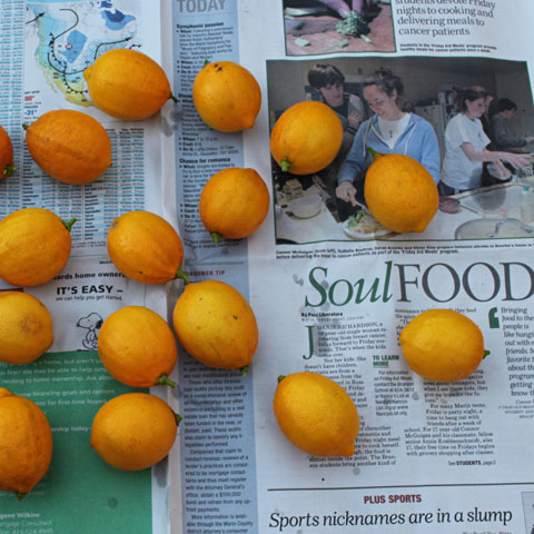 Vietnamese Preserved Lemons -- Chanh Muoi