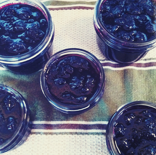 Blueberry Jam Jars