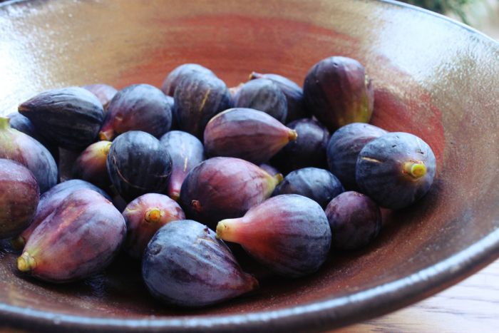 Black Mission figs in a bowl