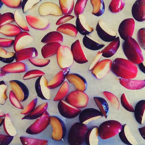 Photo of sliced plums ready to be flash frozen