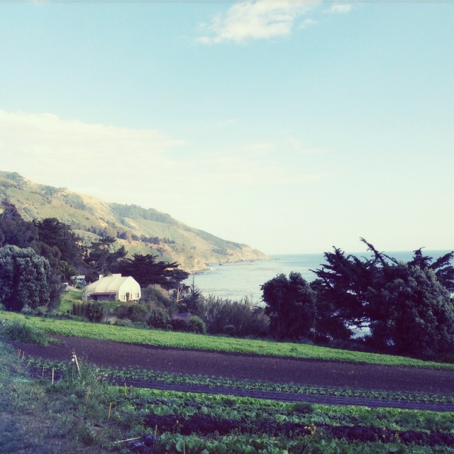 The Esalen Institute | Hitchhiking to Heaven
