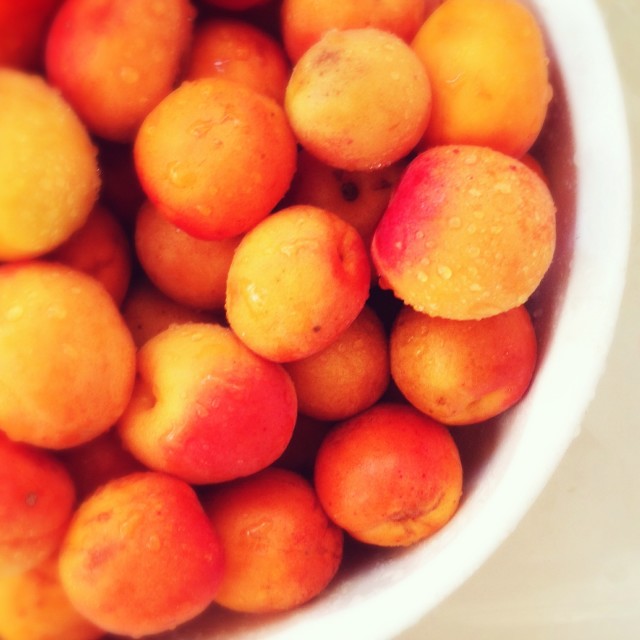 Fruit for Low Sugar Apricot Jam | Hitchhiking to Heaven