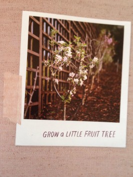Grow a Little Fruit Tree Inside Front Cover