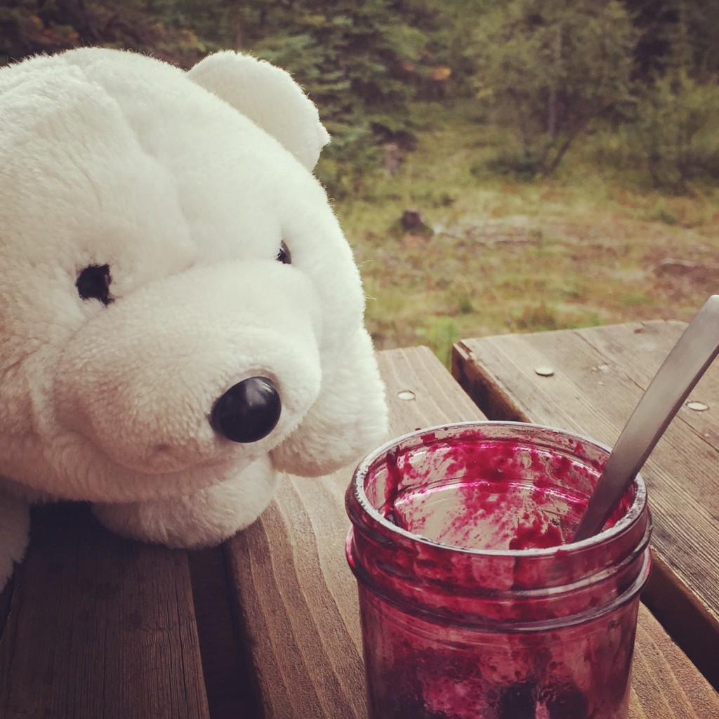 Because all bears like berry jam