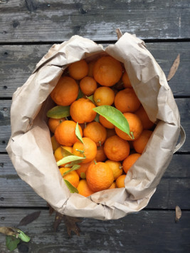 Photo of a bag of Rangpur Limes for making Rangpur Lime Marmalade