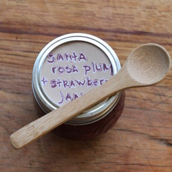 Plum Strawberry Jam | Hitchhiking to Heaven