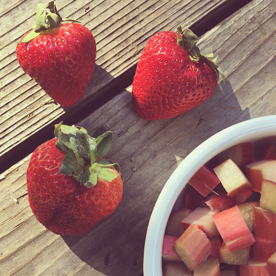 Mini-Batch Strawberry Rhubarb Jam | Hitchhiking to Heaven