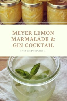 Gin & Meyer Lemon Marmalade Cocktail | Hitchhiking to Heaven