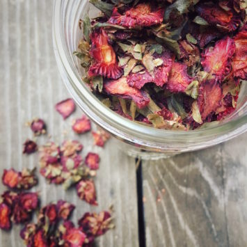 Strawberry Hull Tea | Hitchhiking to Heaven