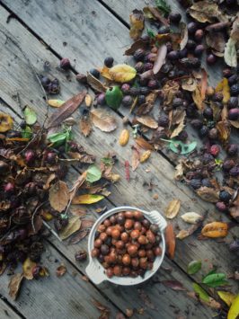 California Bay Nut Brittle | Hitchhiking to Heaven